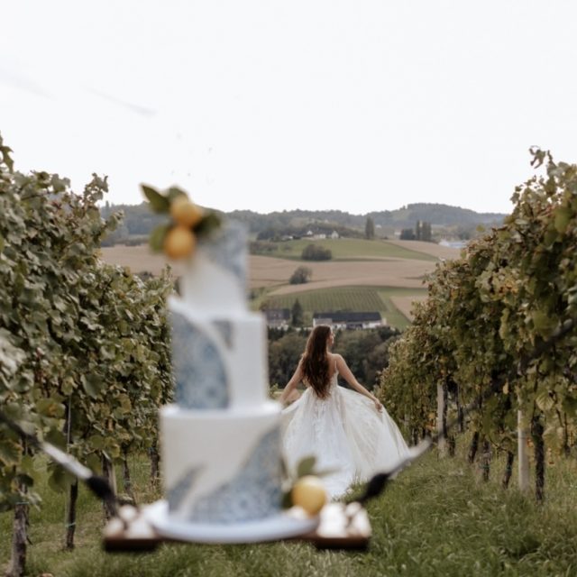 Weingut Holler Girtler Gastronomie | Foto: Jasmin Hirzberger