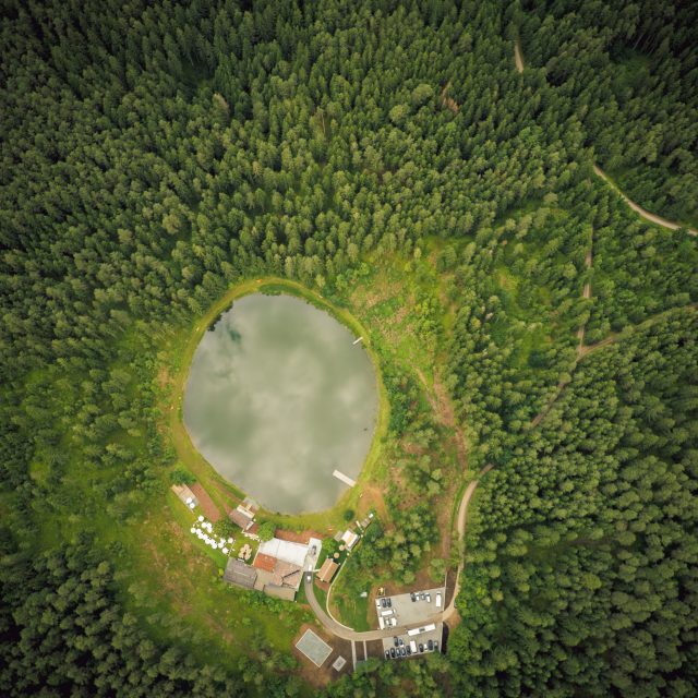 Das Haidensee | AWA 2024 | Foto: ArtsIllustratedStudios